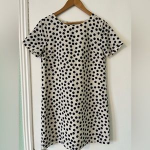 J Crew Sheath Polka Dot dress